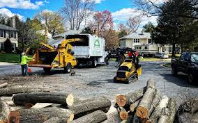 Best Storm Damage Tree Cleanup  in Sweet Home, OR